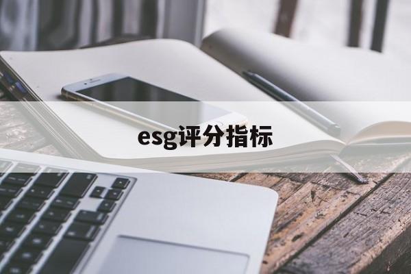 esg评分指标(esspri评分表)