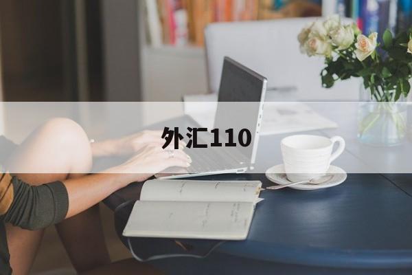 外汇110(外汇110官方网站查询)